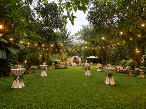orchard-set-up